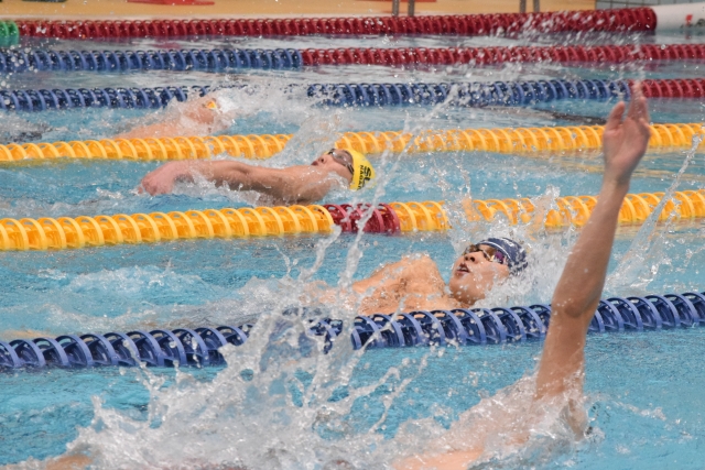 在庫切れ時の賢い待ち方と代替策