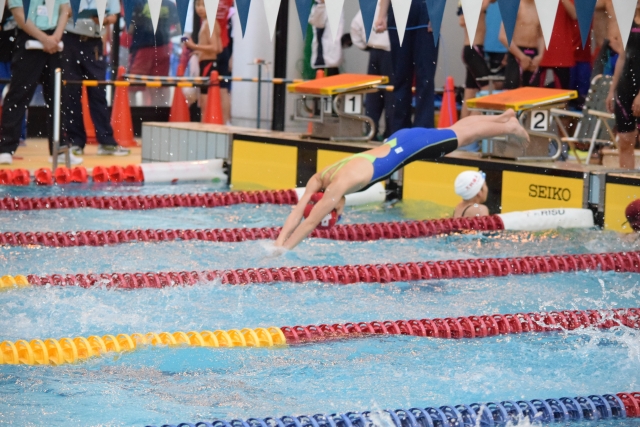 バルクス プロテイン セール 25日を軸にした購入設計