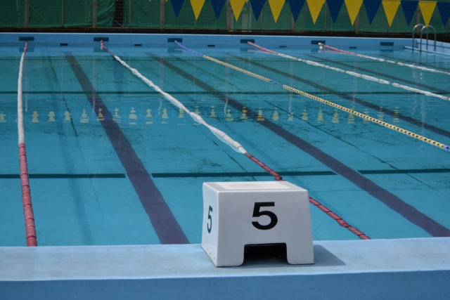 正規販売とECと実店舗を比較して最短で入手する