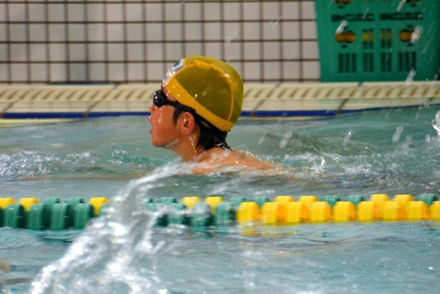 食事との組み合わせと吸収を高める